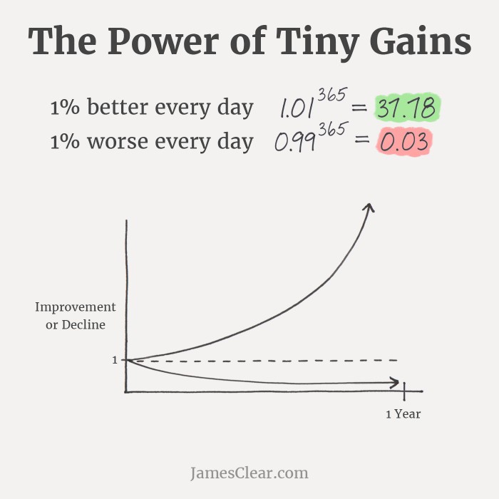 Power of Tiny Gains. 1% Better every day.