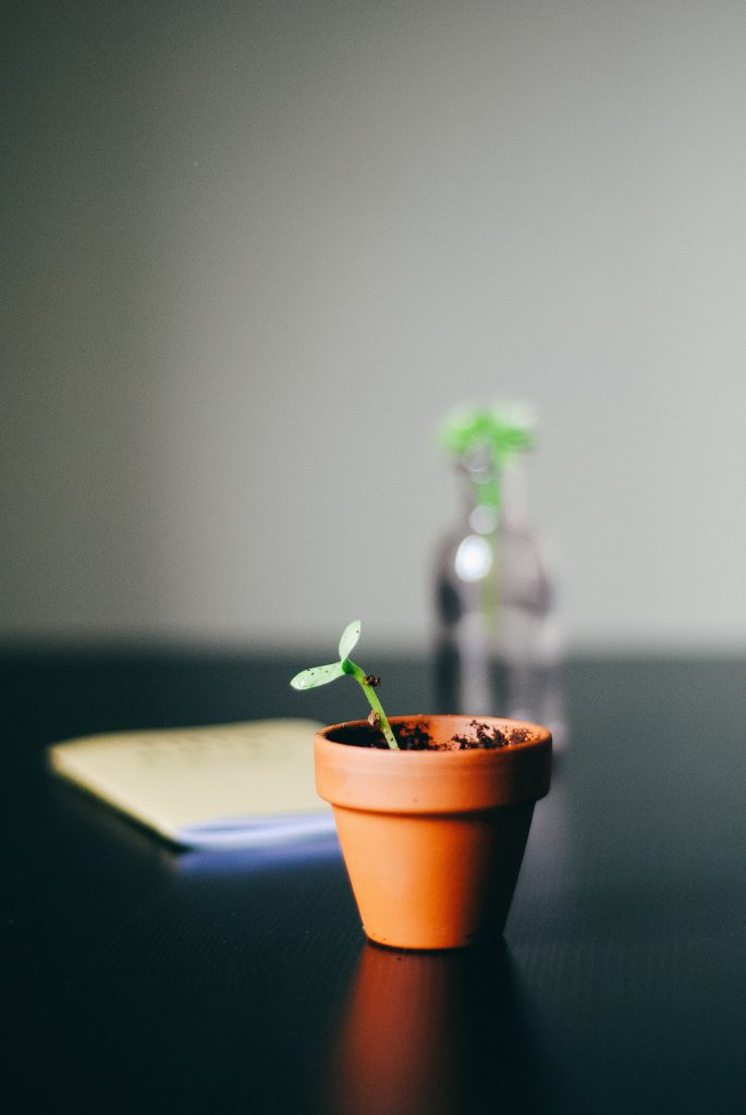 Personal Growth and Life Skills